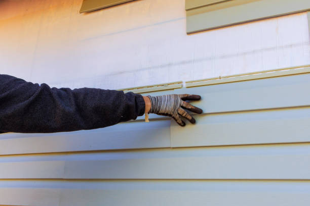 Affordable Siding Repair and Maintenance Services in Eudora, KS